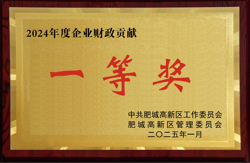 2024年度企业财政贡献一等奖